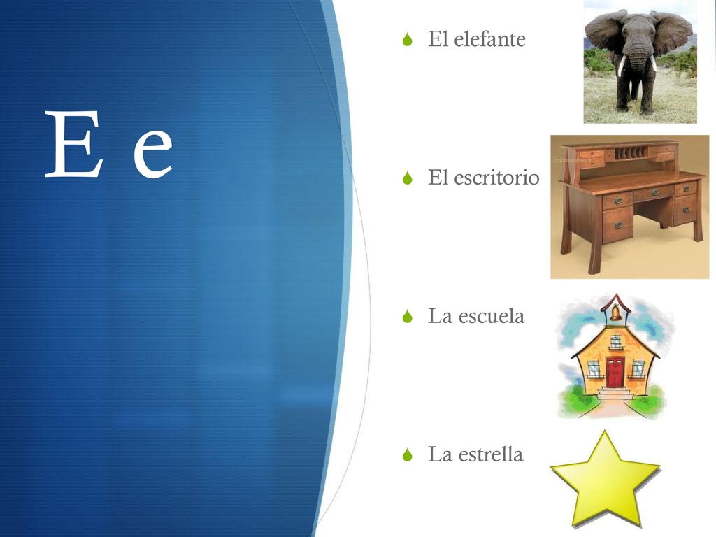 El elefante El escritorio La escuela La estrella E e
