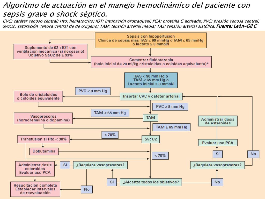 Algoritmo de actuación en el manejo hemodinámico del paciente con sepsis grave o shock séptico.
