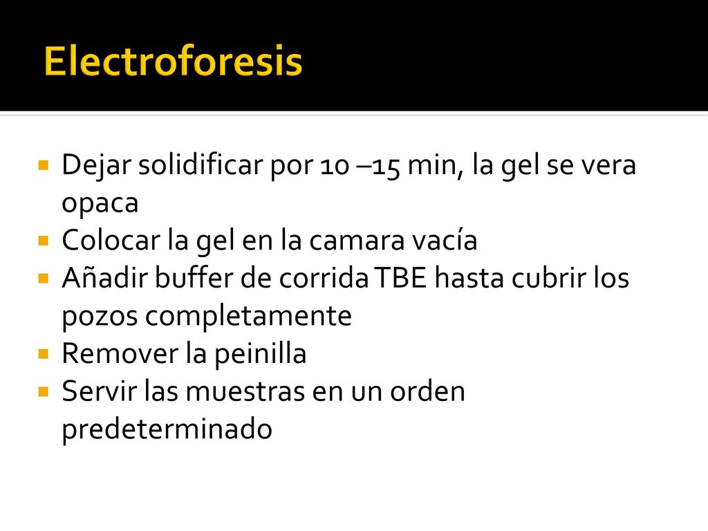 Electroforesis Dejar solidificar por 10 –15 min, la gel se vera opaca