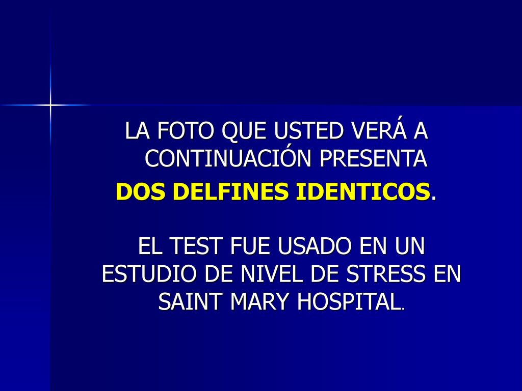 LA FOTO QUE USTED VERÁ A CONTINUACIÓN PRESENTA DOS DELFINES IDENTICOS.