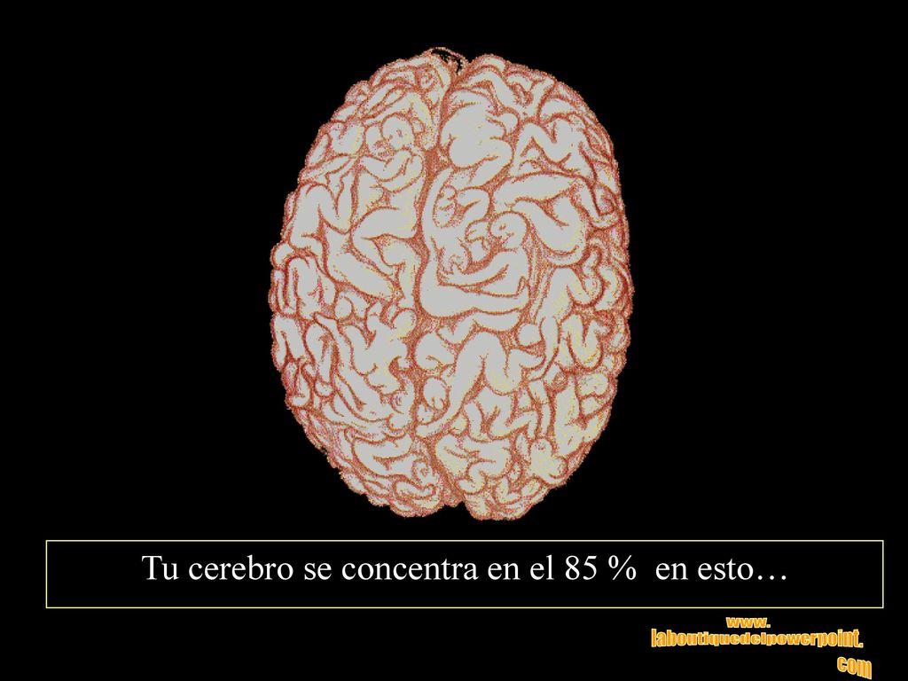 Tu cerebro se concentra en el 85 % en esto…