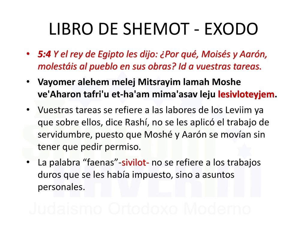 LIBRO DE SHEMOT - EXODO 5:4 Y el rey de Egipto les dijo: ¿Por qué, Moisés y Aarón, molestáis al pueblo en sus obras Id a vuestras tareas.