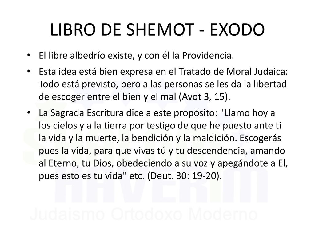 LIBRO DE SHEMOT - EXODO El libre albedrío existe, y con él la Providencia.