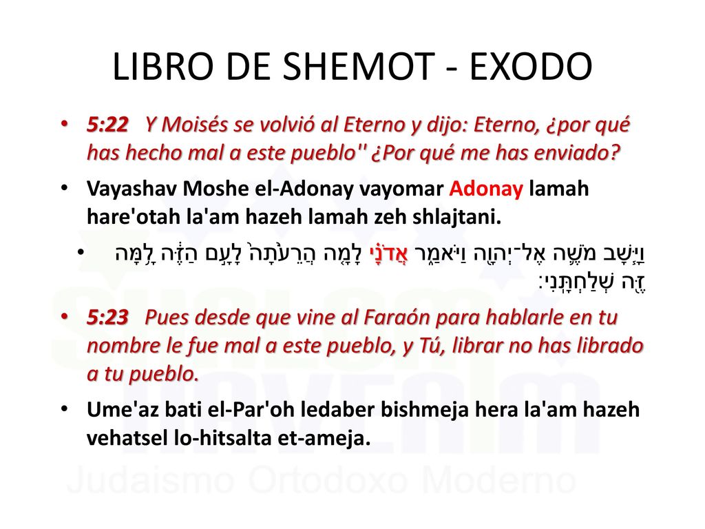 LIBRO DE SHEMOT - EXODO 5:22 Y Moisés se volvió al Eterno y dijo: Eterno, ¿por qué has hecho mal a este pueblo ¿Por qué me has enviado