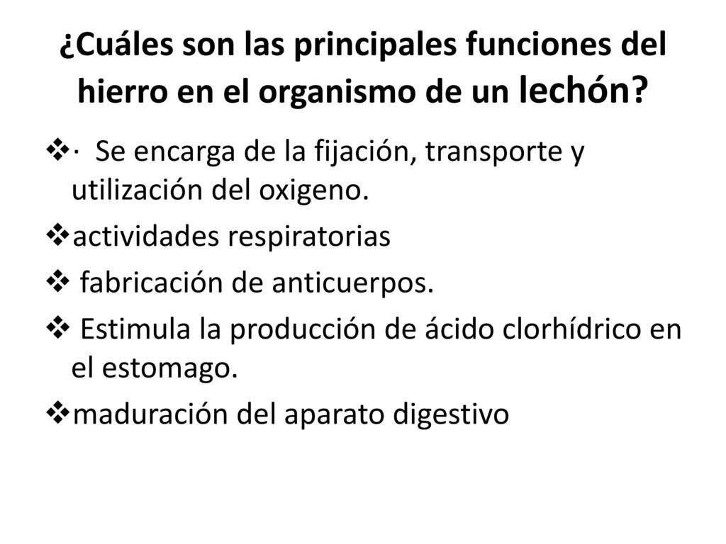 ¿Cuáles son las principales funciones del hierro en el organismo de un lechón
