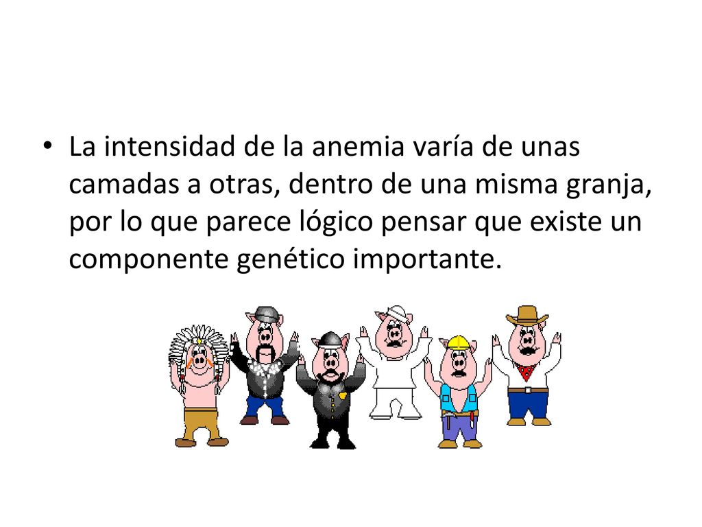 La intensidad de la anemia varía de unas camadas a otras, dentro de una misma granja, por lo que parece lógico pensar que existe un componente genético importante.