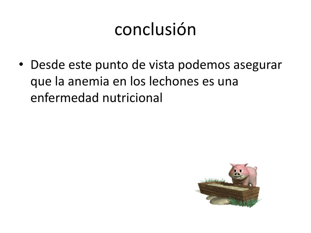 conclusión Desde este punto de vista podemos asegurar que la anemia en los lechones es una enfermedad nutricional.