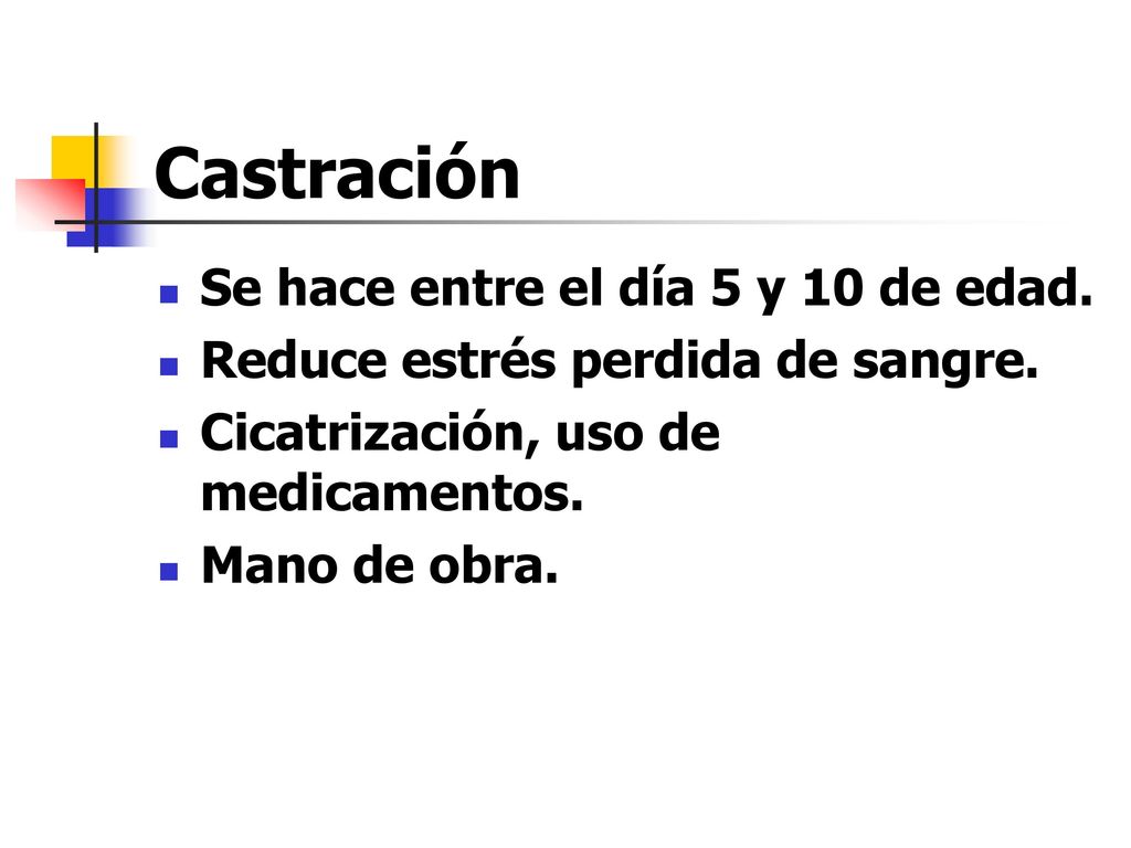 Castración Se hace entre el día 5 y 10 de edad.