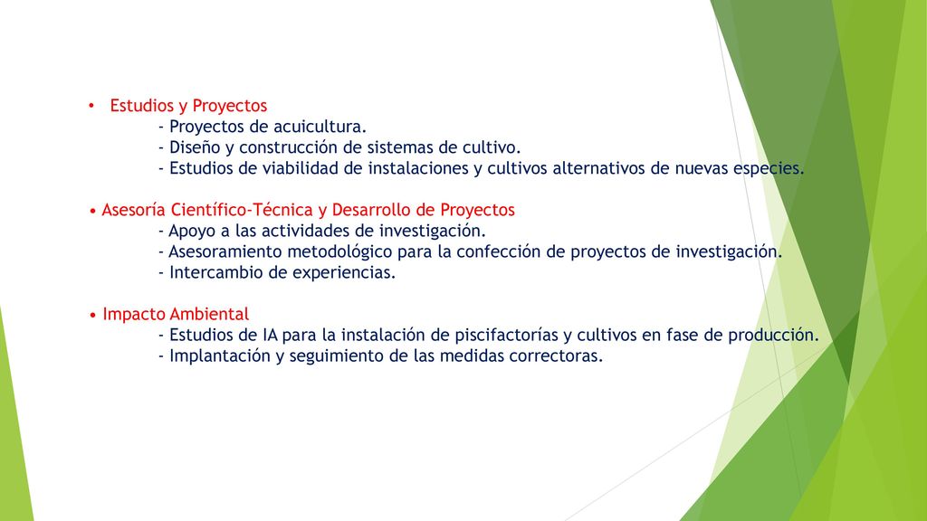 Estudios y Proyectos - Proyectos de acuicultura. - Diseño y construcción de sistemas de cultivo.