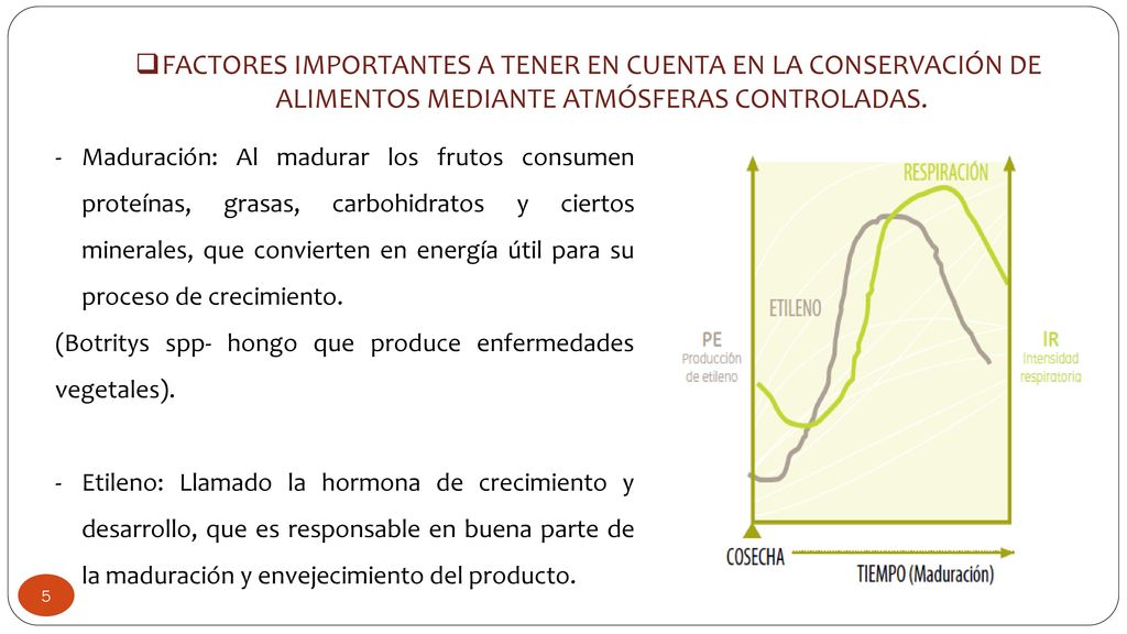 FACTORES IMPORTANTES A TENER EN CUENTA EN LA CONSERVACIÓN DE ALIMENTOS MEDIANTE ATMÓSFERAS CONTROLADAS.