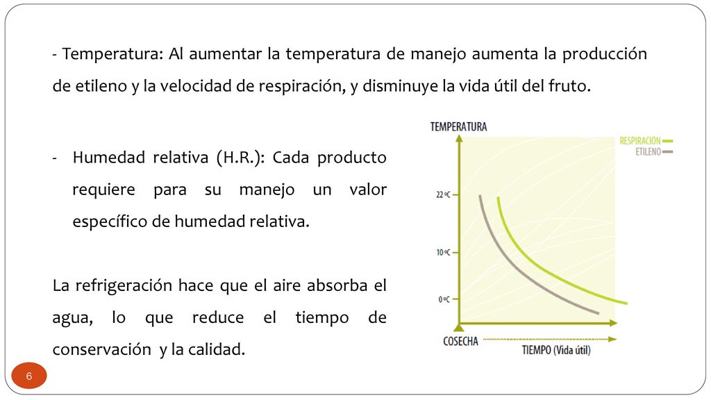 - Temperatura: Al aumentar la temperatura de manejo aumenta la producción de etileno y la velocidad de respiración, y disminuye la vida útil del fruto.