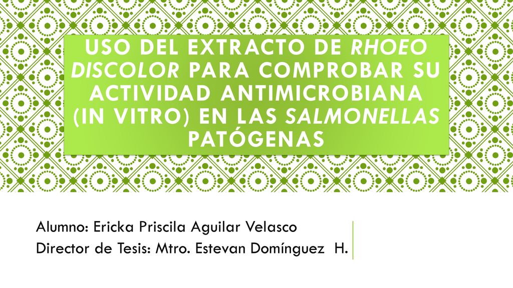 uso del Extracto de Rhoeo discolor para comprobar su actividad antimicrobiana (in vitro) en las Salmonellas Patógenas