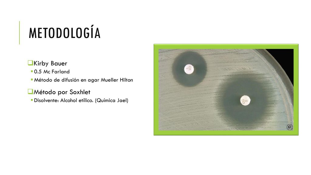 Metodología Kirby Bauer Método por Soxhlet 0.5 Mc Farland