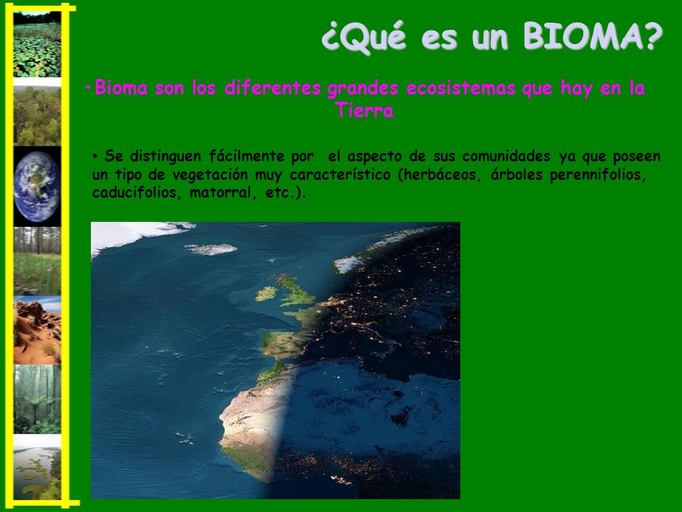 •Bioma son los diferentes grandes ecosistemas que hay en la Tierra