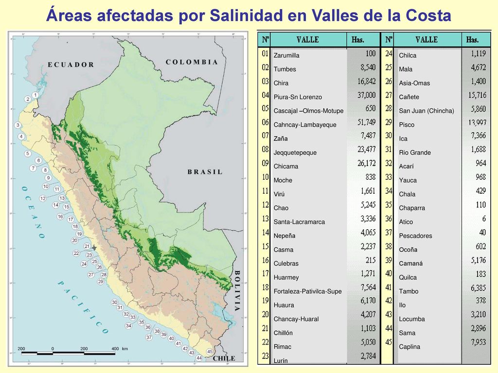 Áreas afectadas por Salinidad en Valles de la Costa