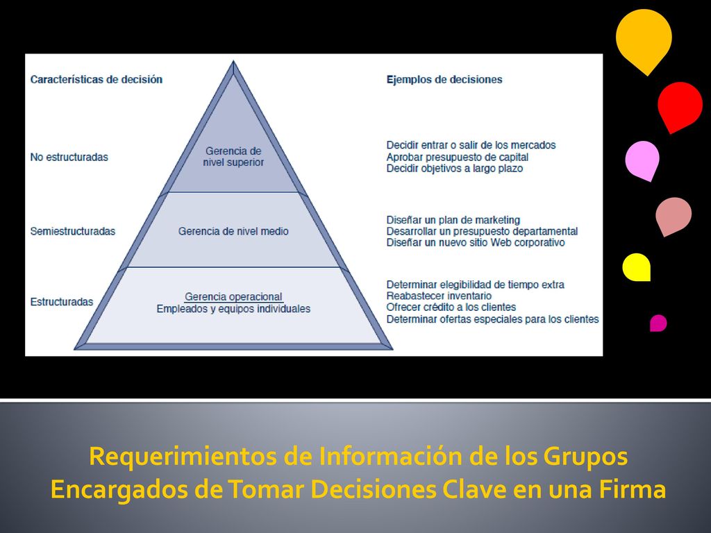Requerimientos de Información de los Grupos Encargados de Tomar Decisiones Clave en una Firma