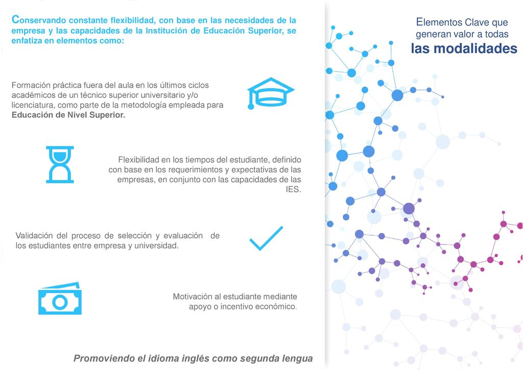 Conservando constante flexibilidad, con base en las necesidades de la empresa y las capacidades de la Institución de Educación Superior, se enfatiza en elementos como: