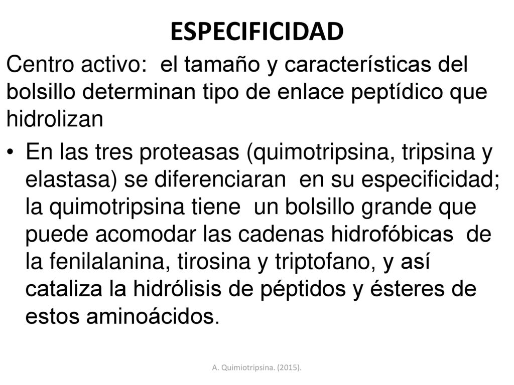 ESPECIFICIDAD Centro activo: el tamaño y características del bolsillo determinan tipo de enlace peptídico que hidrolizan.