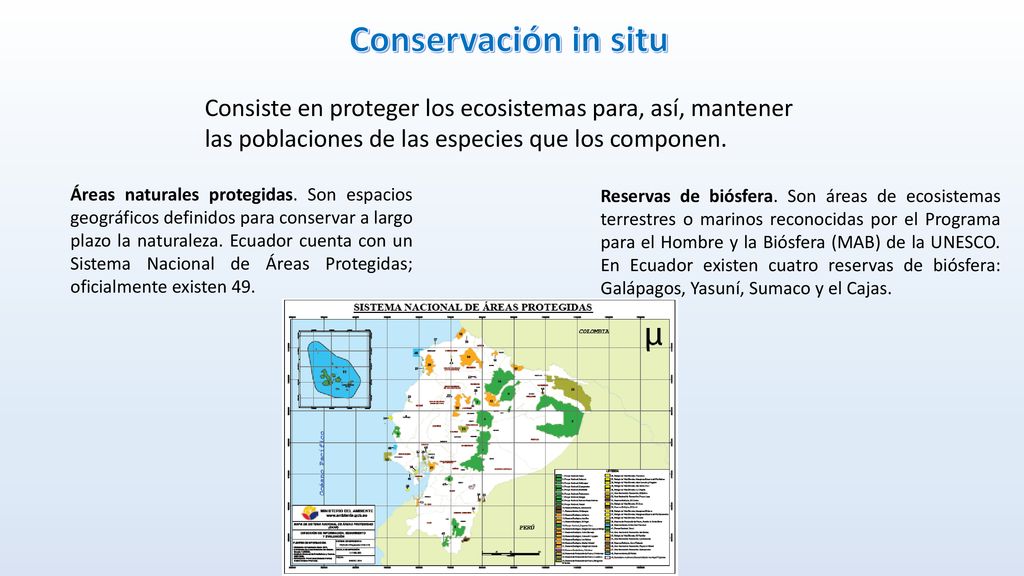 Conservación in situ Consiste en proteger los ecosistemas para, así, mantener las poblaciones de las especies que los componen.