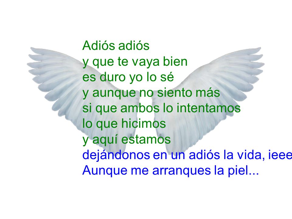 Adiós adiós y que te vaya bien es duro yo lo sé y aunque no siento más si que ambos lo intentamos lo que hicimos y aquí estamos dejándonos en un adiós la vida, ieeeeh....