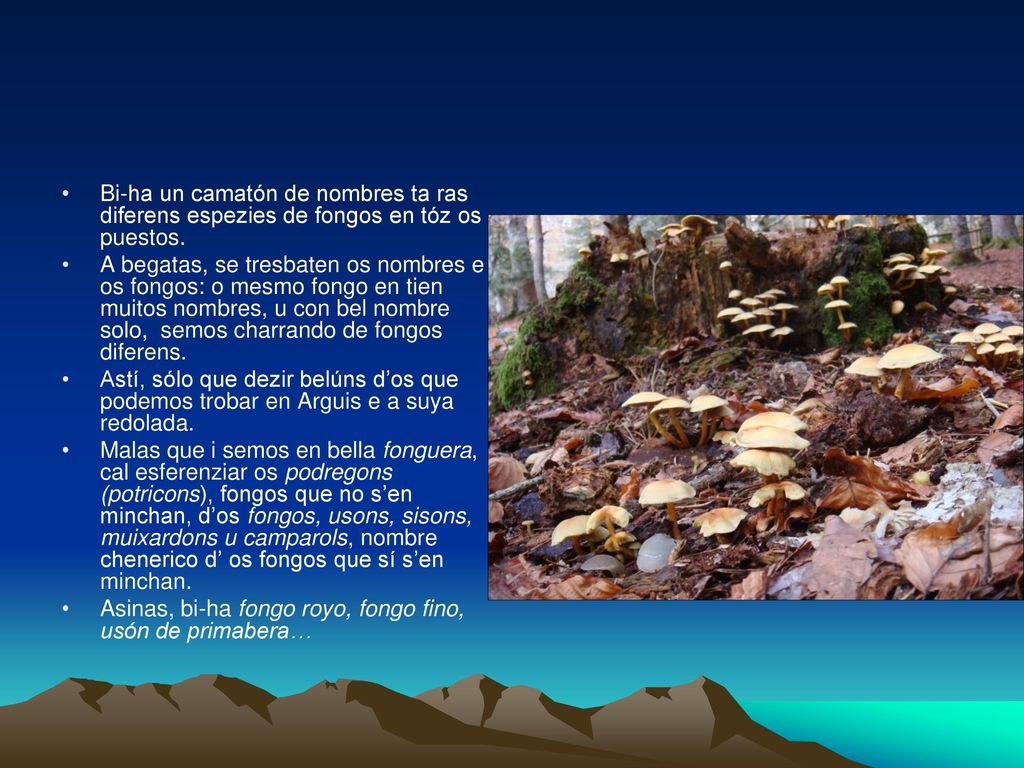 Bi-ha un camatón de nombres ta ras diferens espezies de fongos en tóz os puestos.