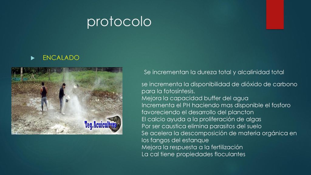 protocolo ENCALADO Se incrementan la dureza total y alcalinidad total