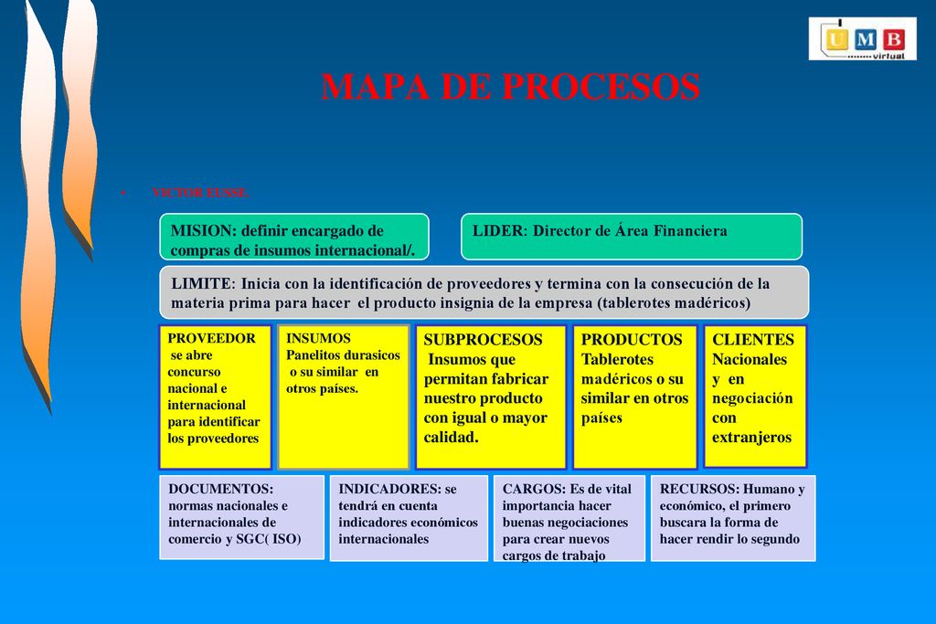 MAPA DE PROCESOS VICTOR EUSSE. MISION: definir encargado de compras de insumos internacional/. LIDER: Director de Área Financiera.
