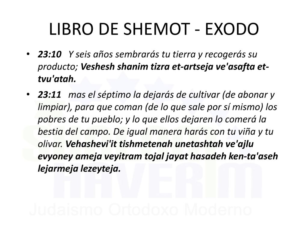 LIBRO DE SHEMOT - EXODO 23:10 Y seis años sembrarás tu tierra y recogerás su producto; Veshesh shanim tizra et-artseja ve asafta et- tvu atah.