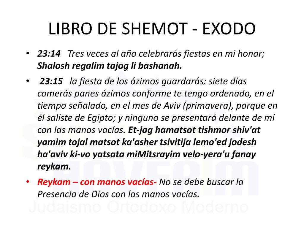 LIBRO DE SHEMOT - EXODO 23:14 Tres veces al año celebrarás fiestas en mi honor; Shalosh regalim tajog li bashanah.