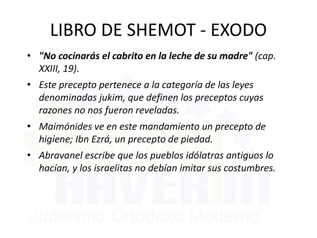 LIBRO DE SHEMOT - EXODO No cocinarás el cabrito en la leche de su madre (cap. XXIII, 19).
