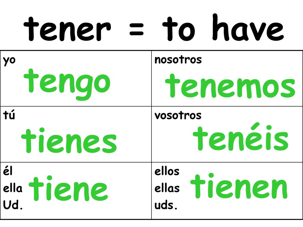 tener = to have tengo tenemos tenéis tienes tienen tiene yo nosotros