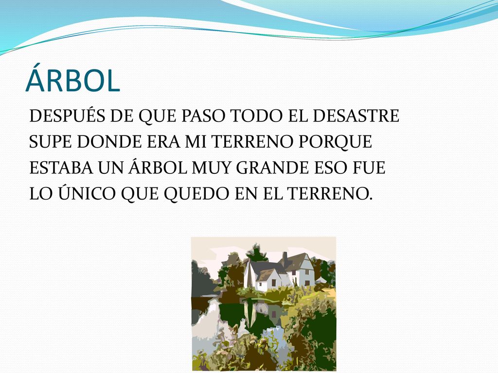 ÁRBOL DESPUÉS DE QUE PASO TODO EL DESASTRE SUPE DONDE ERA MI TERRENO PORQUE ESTABA UN ÁRBOL MUY GRANDE ESO FUE LO ÚNICO QUE QUEDO EN EL TERRENO.