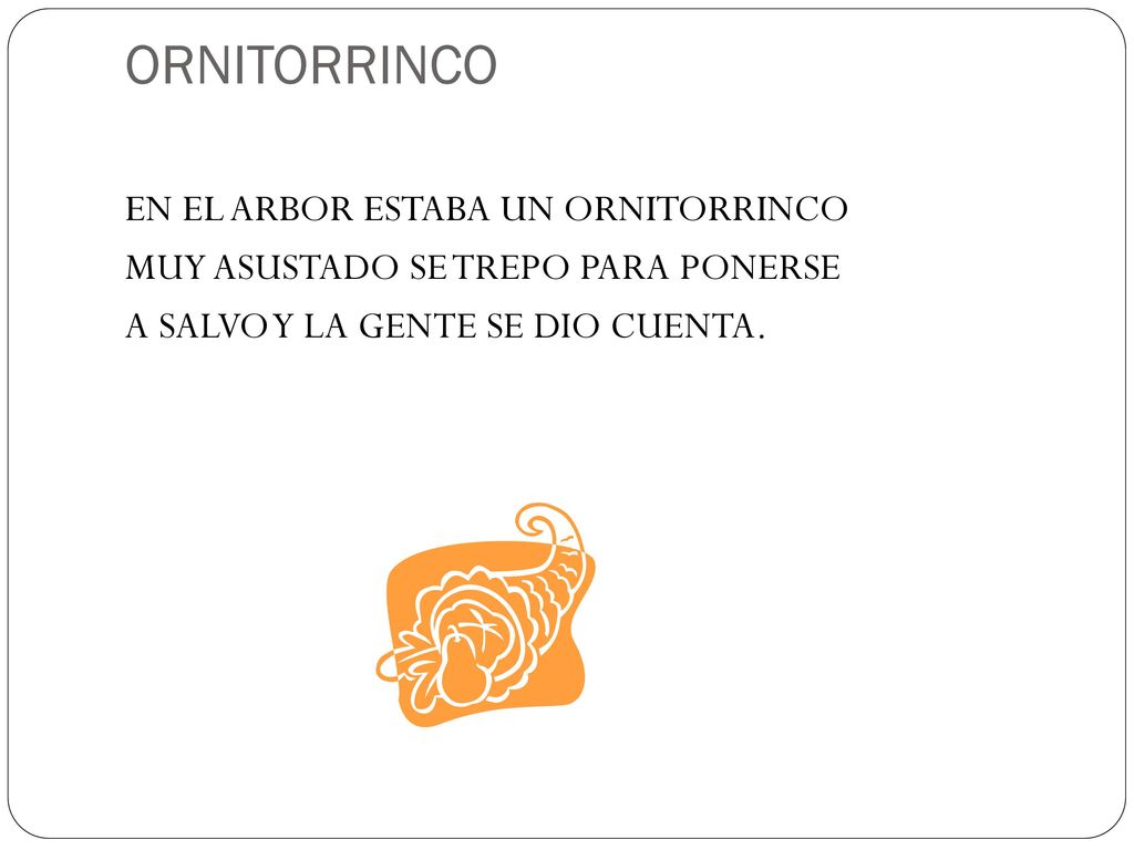 ORNITORRINCO EN EL ARBOR ESTABA UN ORNITORRINCO MUY ASUSTADO SE TREPO PARA PONERSE A SALVO Y LA GENTE SE DIO CUENTA.