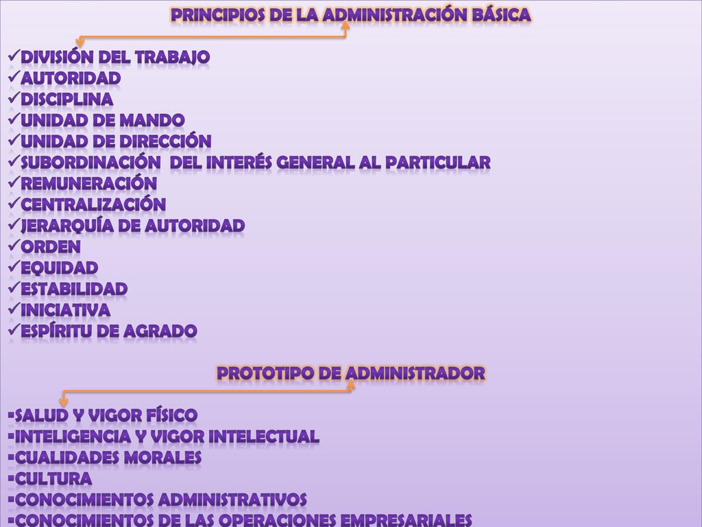 PRINCIPIOS DE LA ADMINISTRACIÓN BÁSICA PROTOTIPO DE ADMINISTRADOR