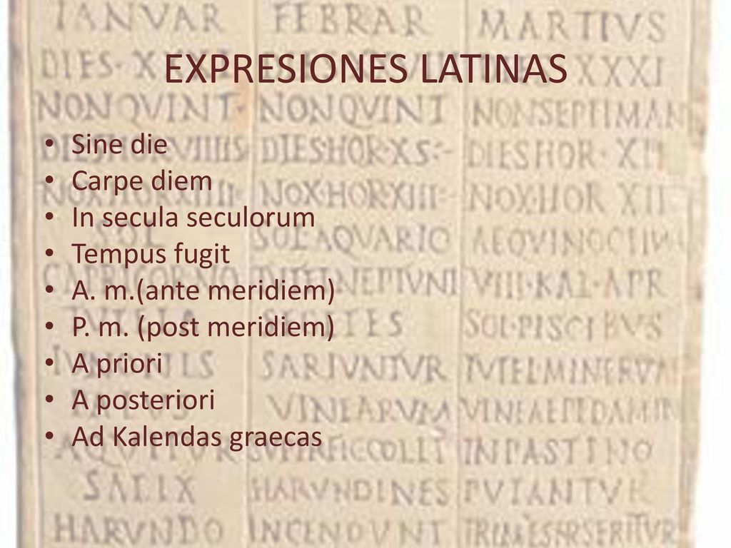 EXPRESIONES LATINAS Sine die Carpe diem In secula seculorum