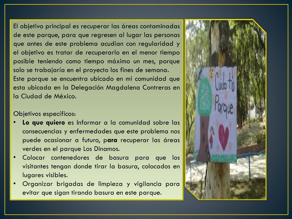 El objetivo principal es recuperar las áreas contaminadas de este parque, para que regresen al lugar las personas que antes de este problema acudían con regularidad y el objetivo es tratar de recuperarlo en el menor tiempo posible teniendo como tiempo máximo un mes, porque solo se trabajaría en el proyecto los fines de semana.