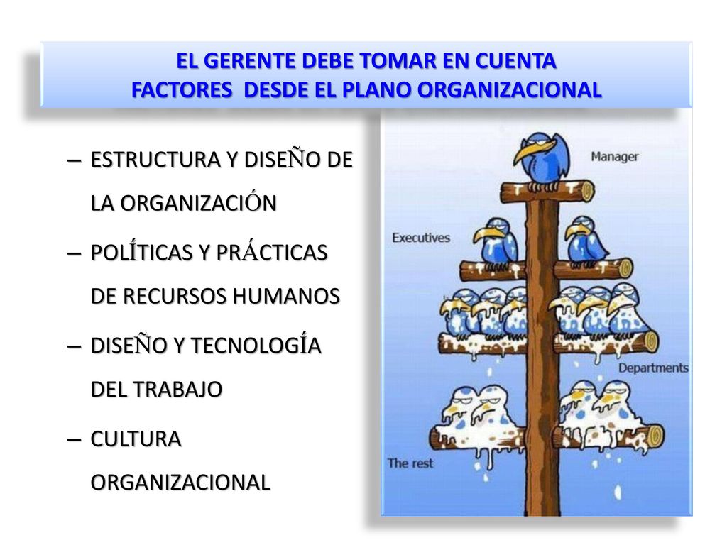 EL GERENTE DEBE TOMAR EN CUENTA FACTORES DESDE EL PLANO ORGANIZACIONAL