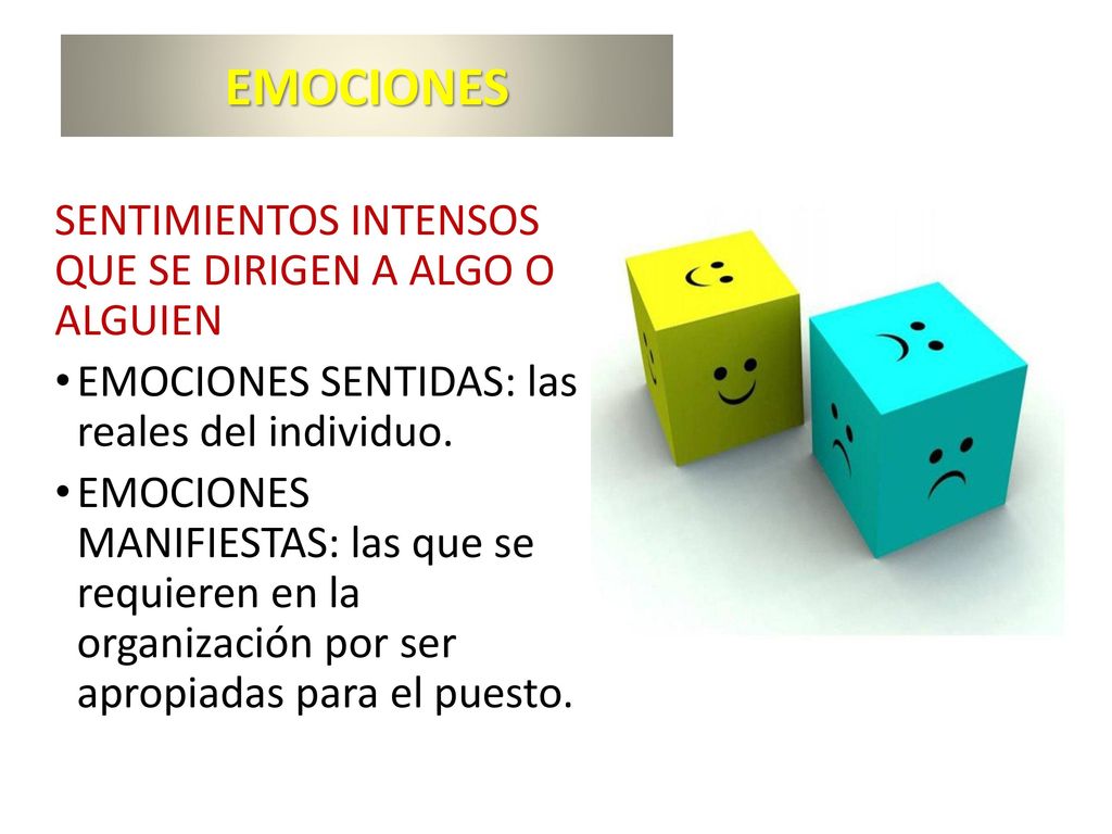 EMOCIONES SENTIMIENTOS INTENSOS QUE SE DIRIGEN A ALGO O ALGUIEN