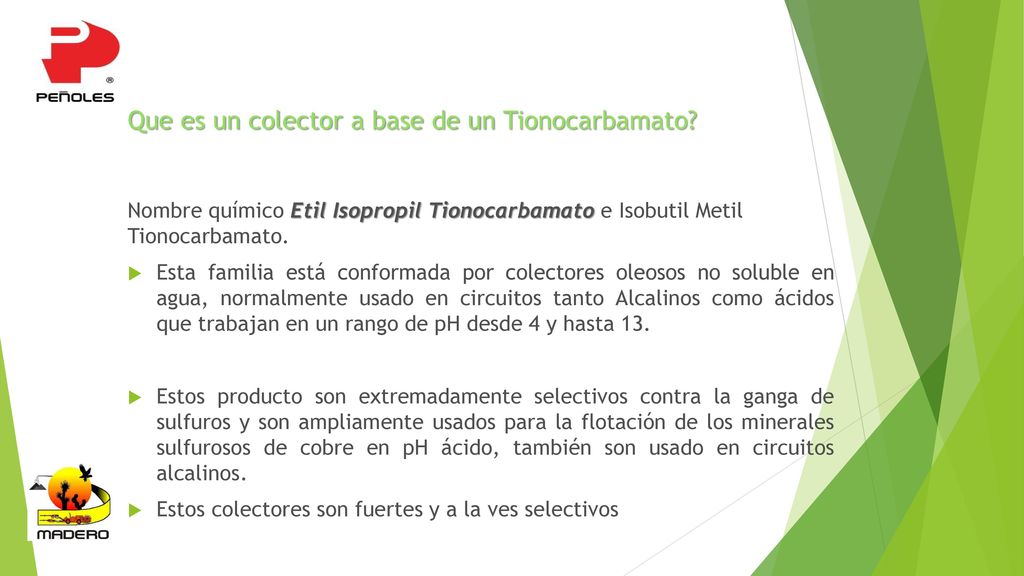 Que es un colector a base de un Tionocarbamato
