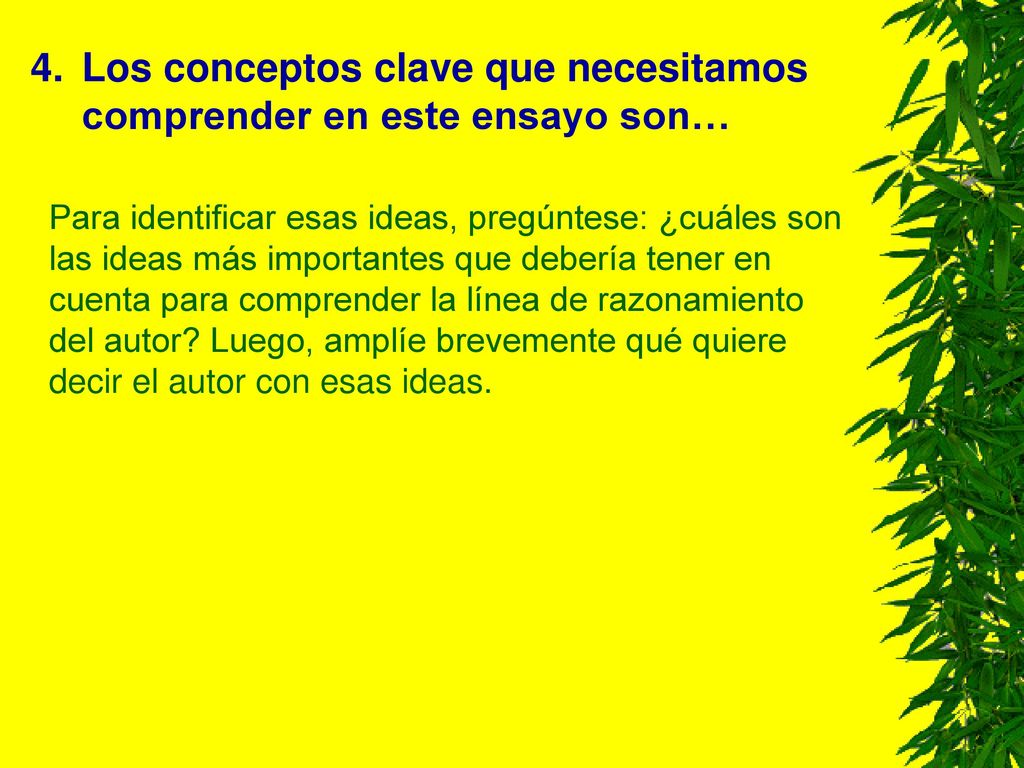Los conceptos clave que necesitamos comprender en este ensayo son…
