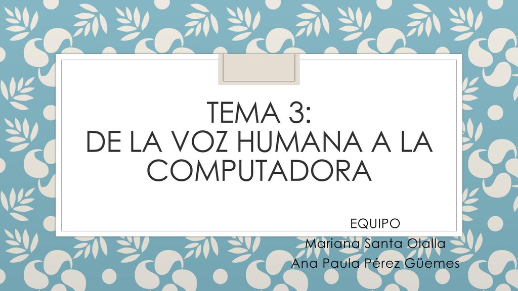 Tema 3: De la voz humana a la computadora
