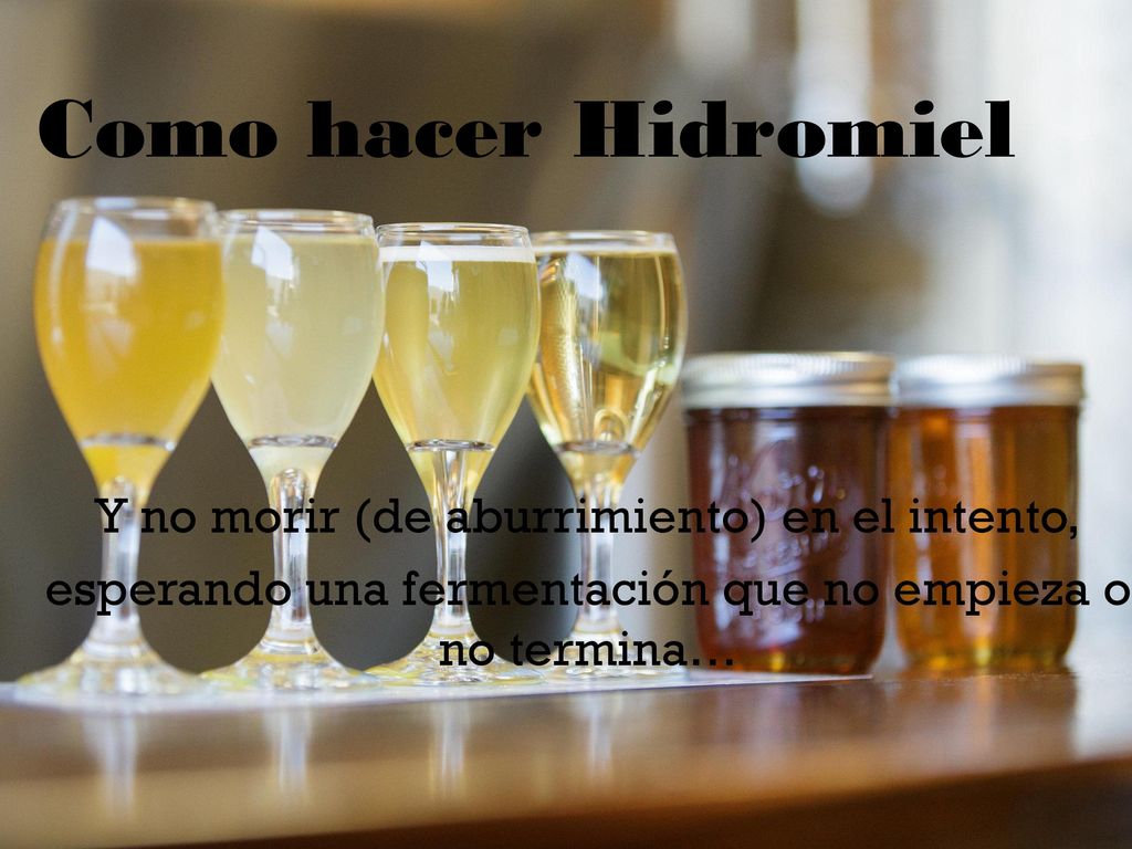 Como hacer Hidromiel Y no morir (de aburrimiento) en el intento,
