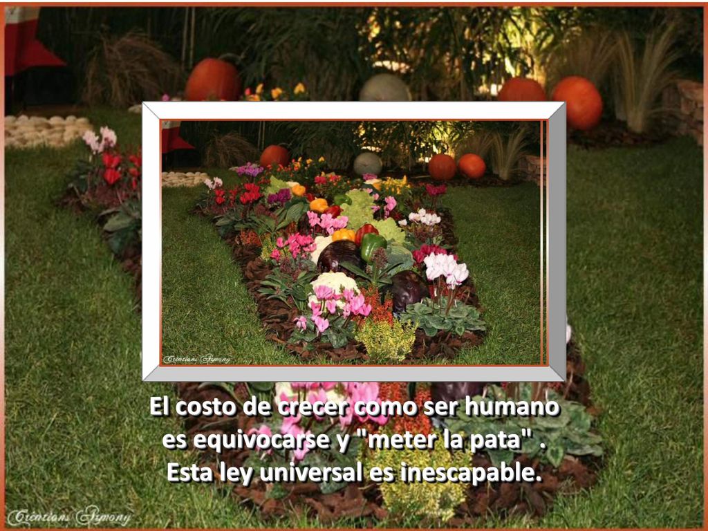 El costo de crecer como ser humano es equivocarse y meter la pata