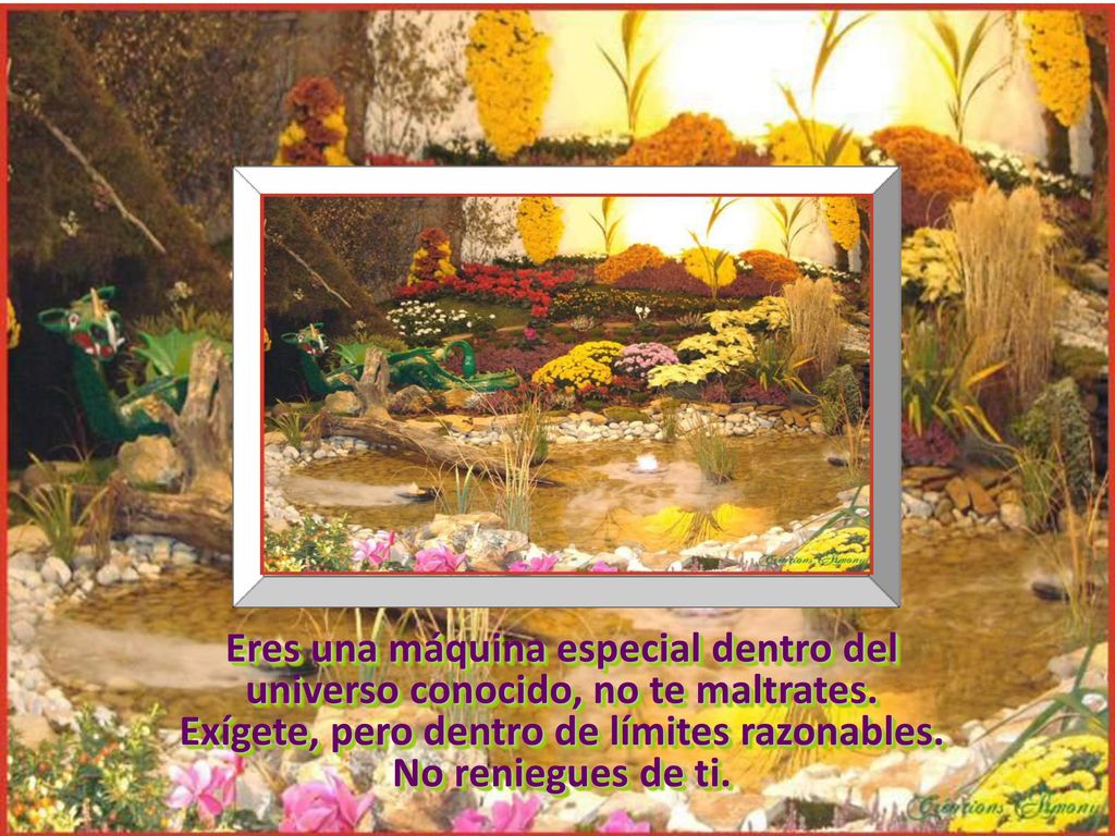 Eres una máquina especial dentro del universo conocido, no te maltrates.