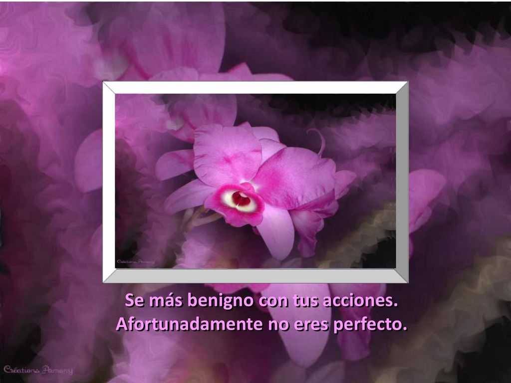Se más benigno con tus acciones. Afortunadamente no eres perfecto.