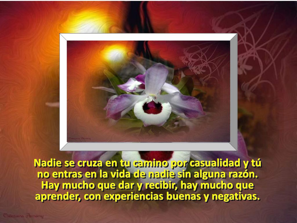 Nadie se cruza en tu camino por casualidad y tú no entras en la vida de nadie sin alguna razón.