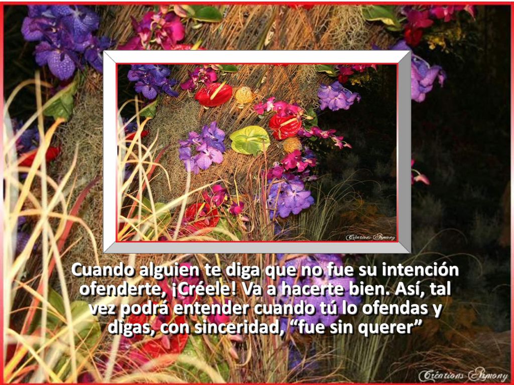 Cuando alguien te diga que no fue su intención ofenderte, ¡Créele