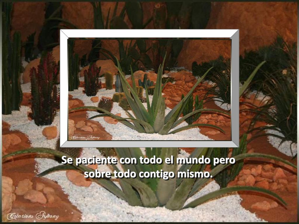 Se paciente con todo el mundo pero sobre todo contigo mismo.