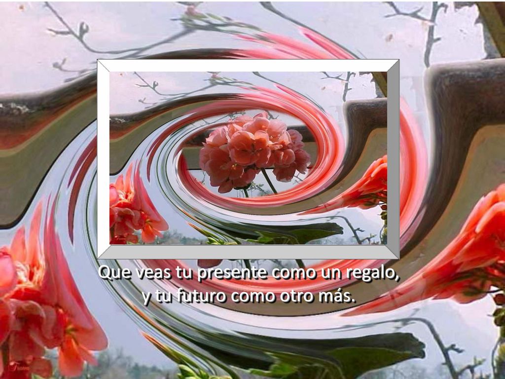 Que veas tu presente como un regalo, y tu futuro como otro más.