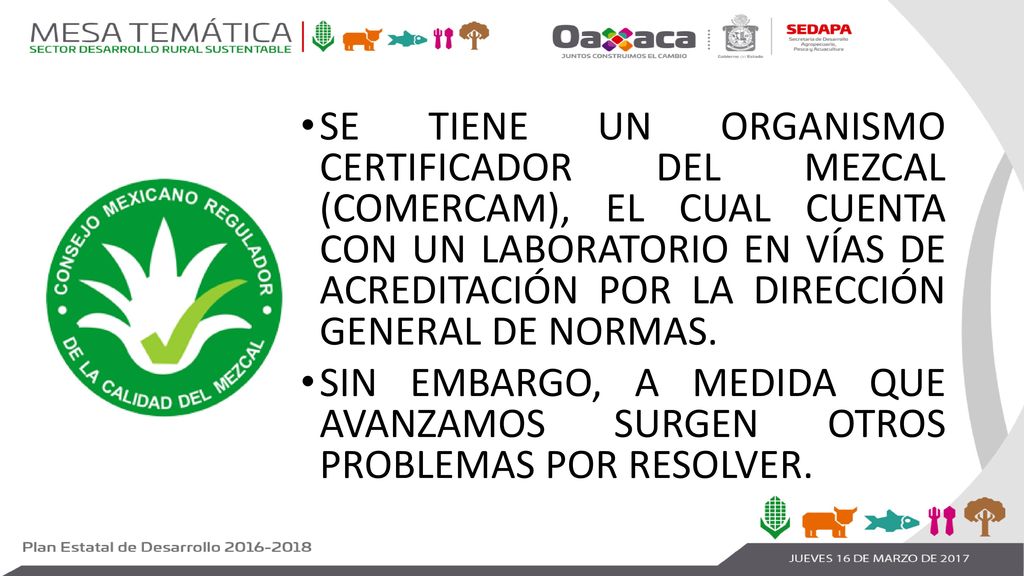SE TIENE UN ORGANISMO CERTIFICADOR DEL MEZCAL (COMERCAM), EL CUAL CUENTA CON UN LABORATORIO EN VÍAS DE ACREDITACIÓN POR LA DIRECCIÓN GENERAL DE NORMAS.